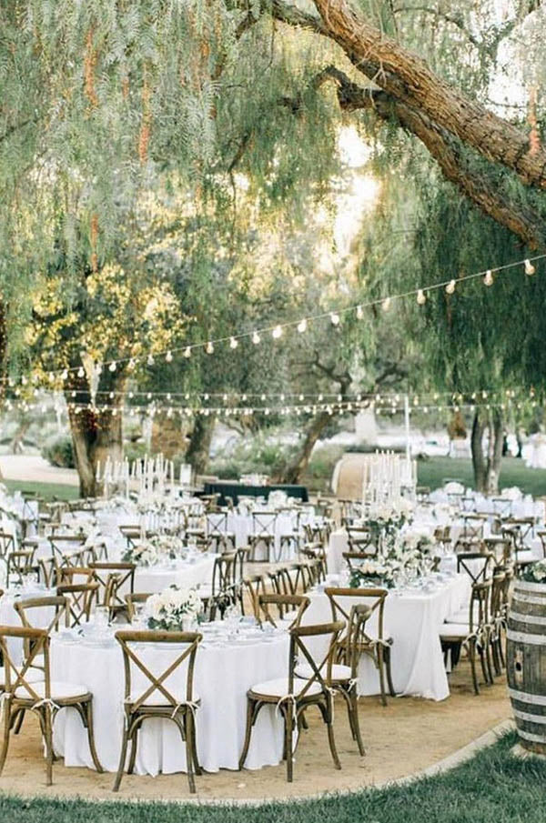 Forest Outdoor Vineyard Wedding Reception Fairy Lights Decoration