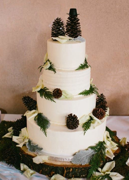 12 Amazing Fall And Winter Wedding Cakes With Pinecones