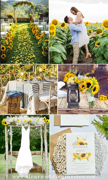 Bright and Intimate Sunflower Farm Wedding