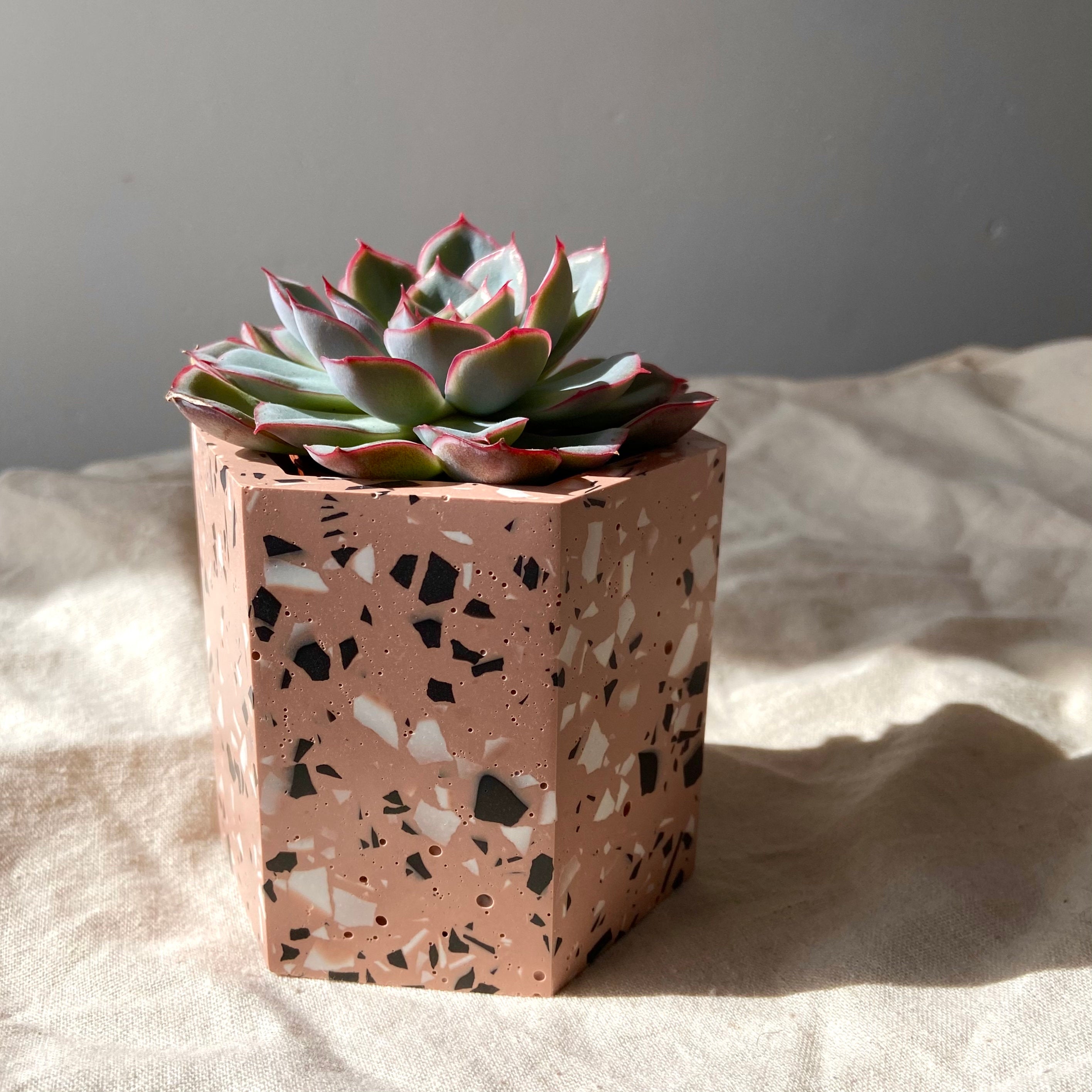 Dusty pink terrazzo plant pots