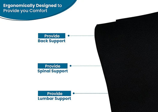 Lumbar Support Pillow- Back Support for Chair  Back Rest Cushions –  Sleepsia India Pvt Ltd