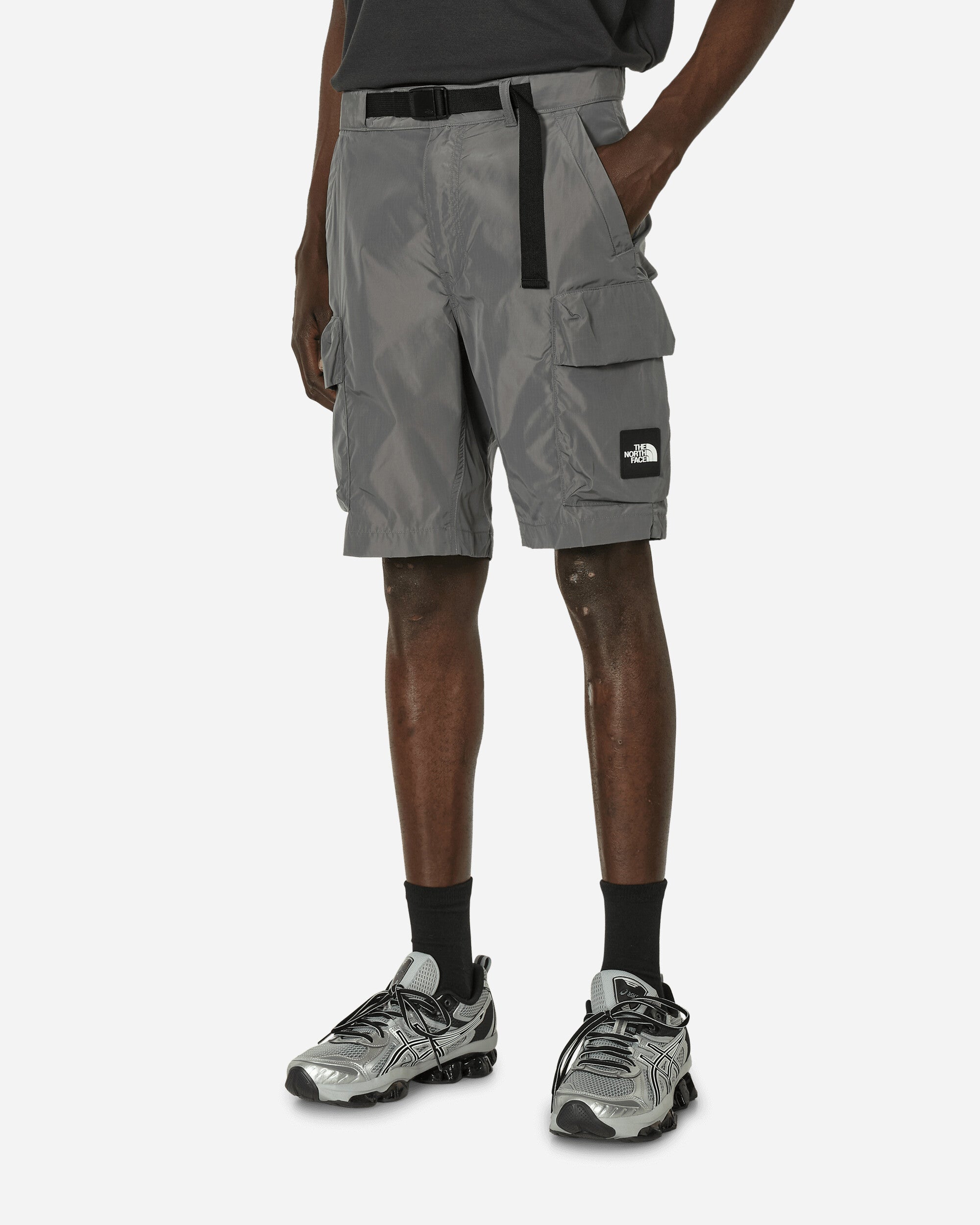 Shop The North Face Nse Cargo Pocket Shorts Smoked Pearl In Grey