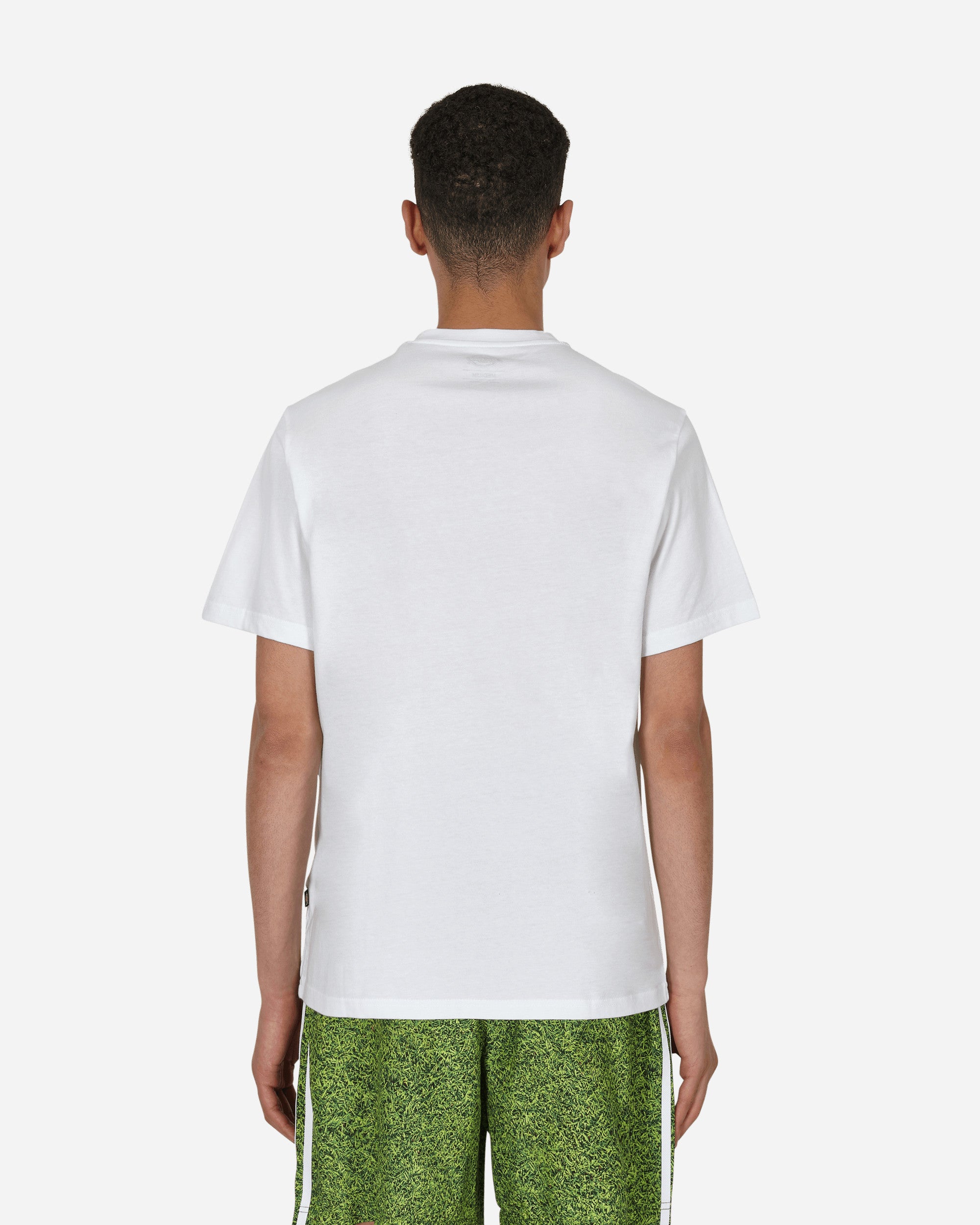 Shop Dickies Mapleton T-shirt In White