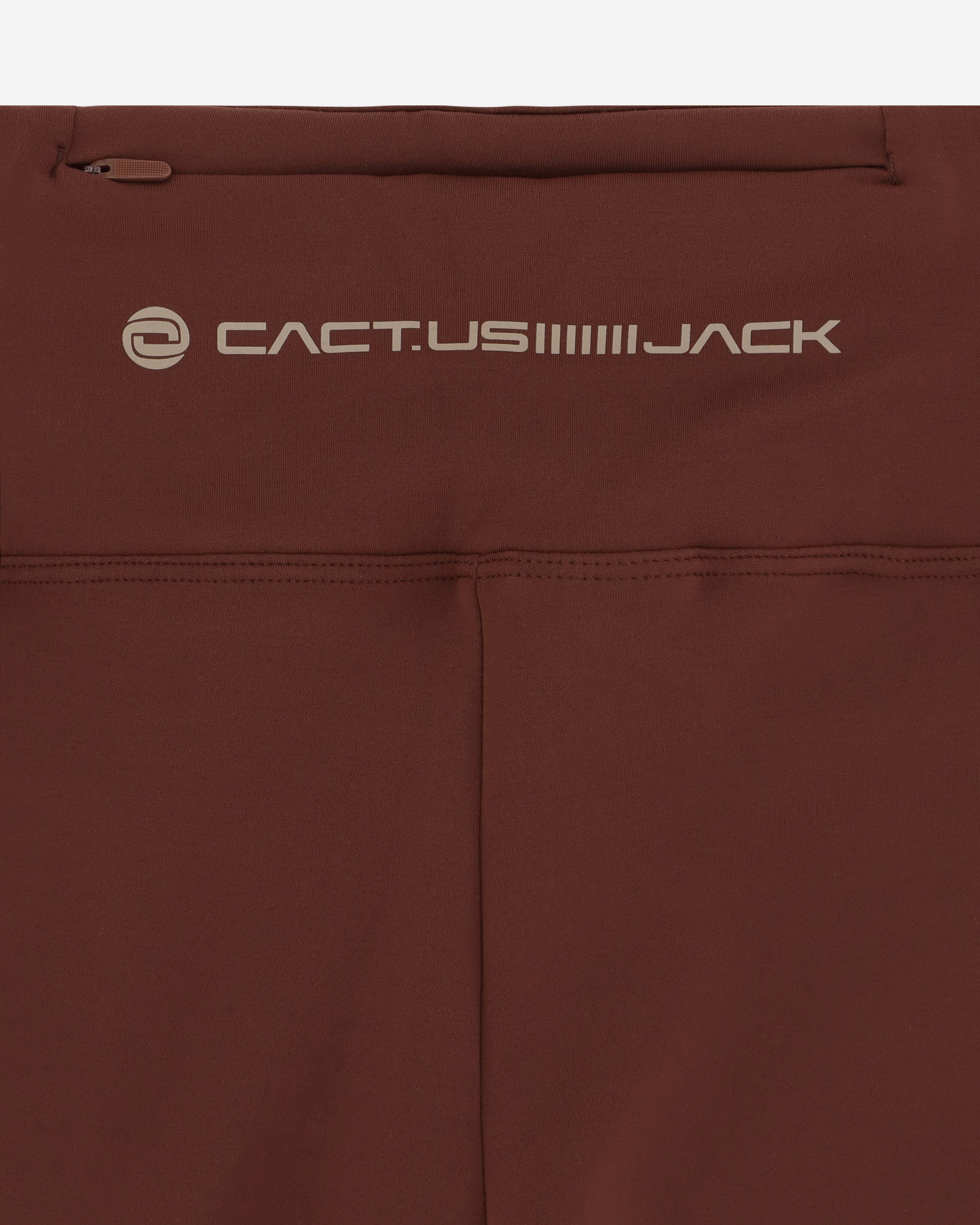 Shop Nike Special Project Cact.us Corp Wmns Shorts In Brown