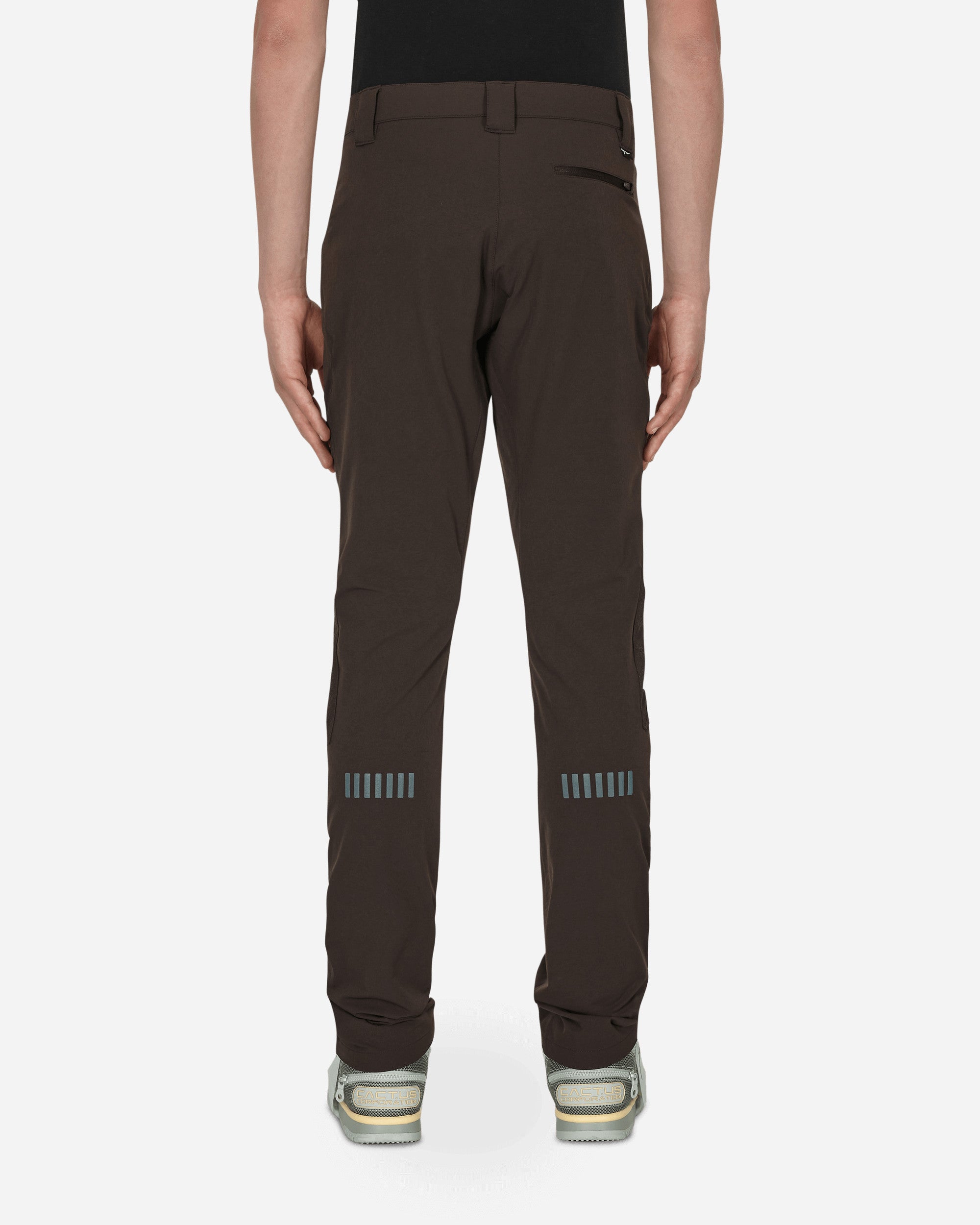 Shop Nike Special Project Cact.us Corp Pants In Brown