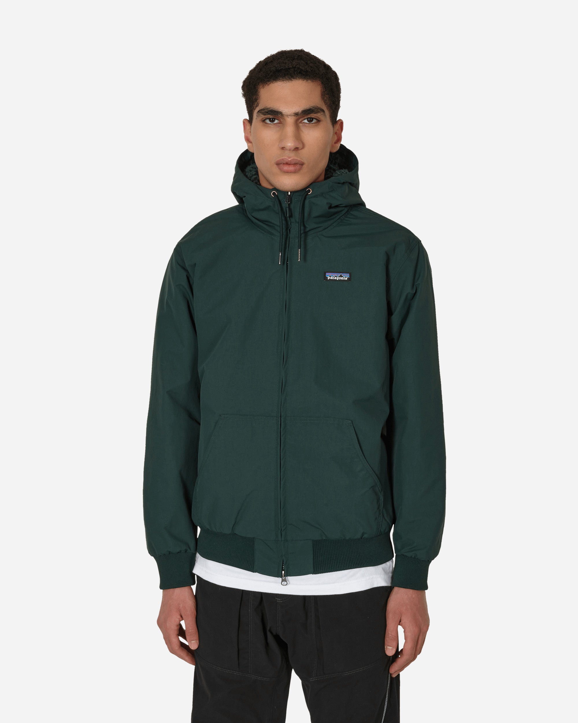 Patagonia Lined Isthmus Hooded Jacket In Green | ModeSens