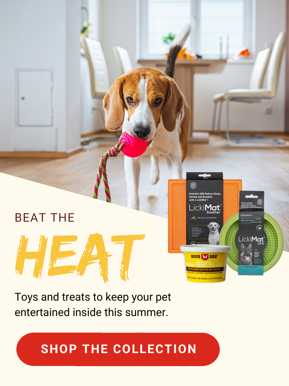 Beat the heat with toys and treats that will keep your pet entertained inside this summer! Shop the collection