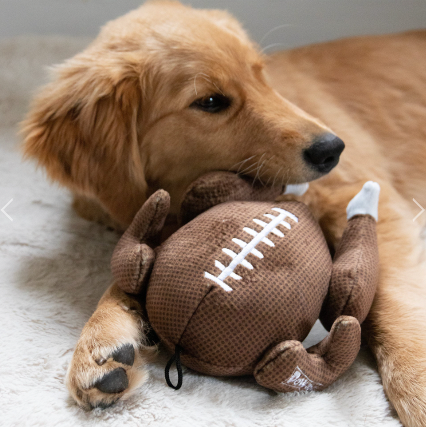 turkey football dog toy