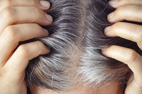 Preventing Premature Graying