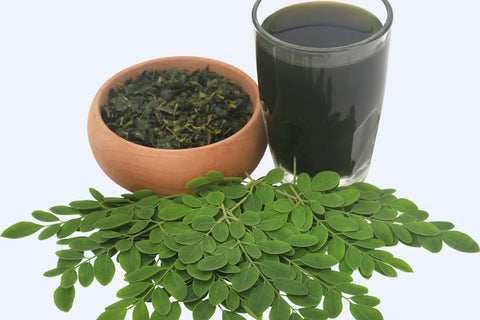 Where Can You Find Quality Moringa Extract Products?