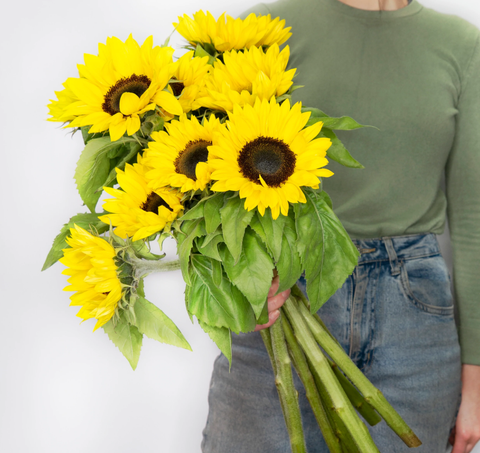 Are Flowers A Good Birthday Gift? - sunflowers