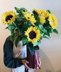 best flowers for Valentine's Day - sunflowers