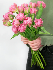 wedding anniversary flowers by year: tulips