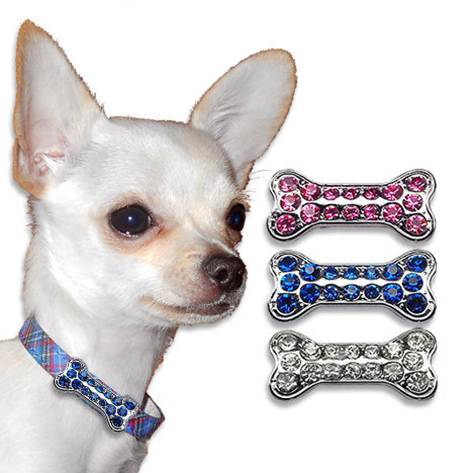 chihuahua dog collar