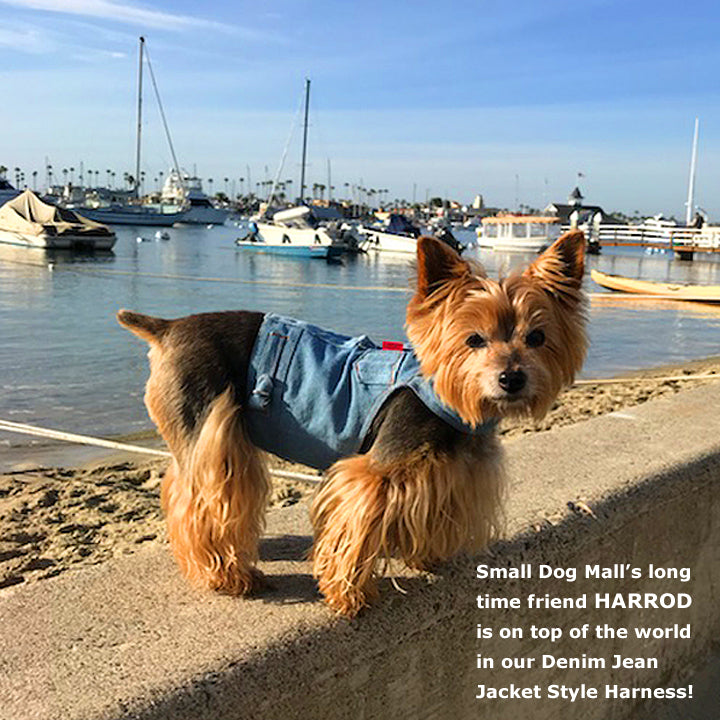 jean jacket for small dogs