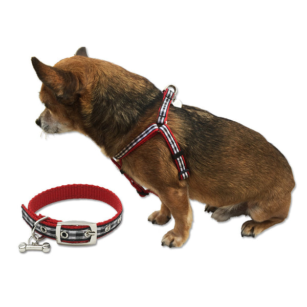 leather leash for small dogs