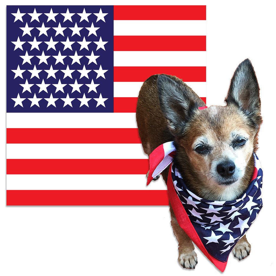 american flag dog bandana