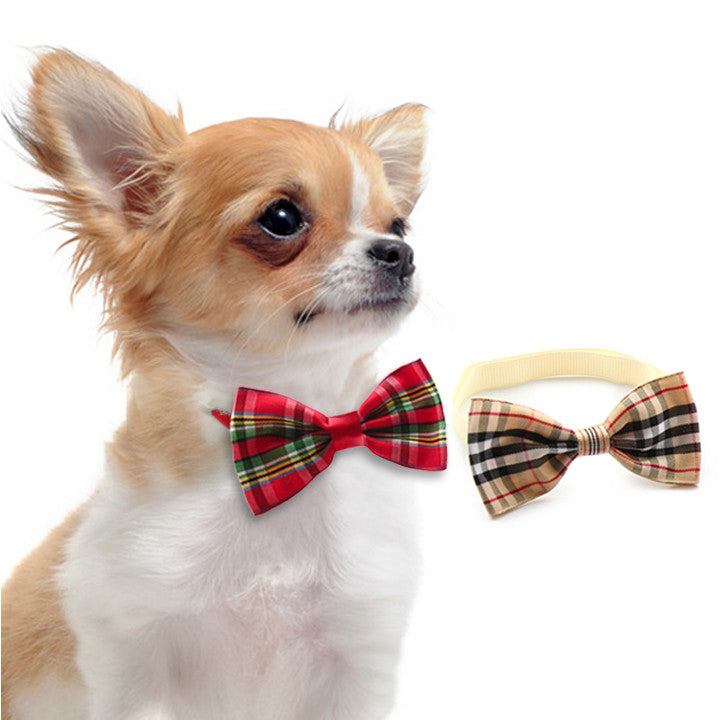 small dog bow tie