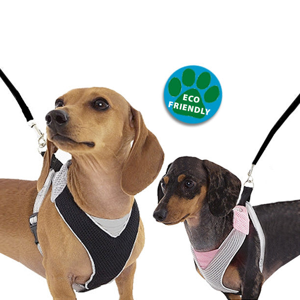 most comfortable harness for small dogs