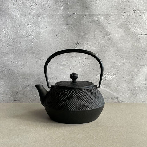 A Japanese tetsubin teapot in a white room