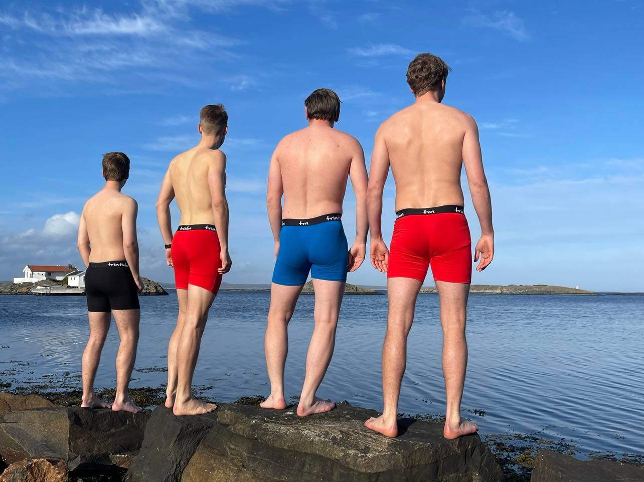 Four men in swimwear standing on a rocky shore facing the sea.