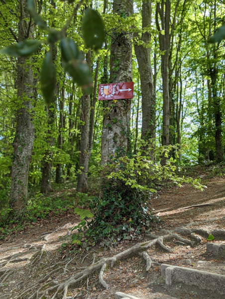 ancient tree with gnarled roots depicts a sign pointing to Fauna Brewery