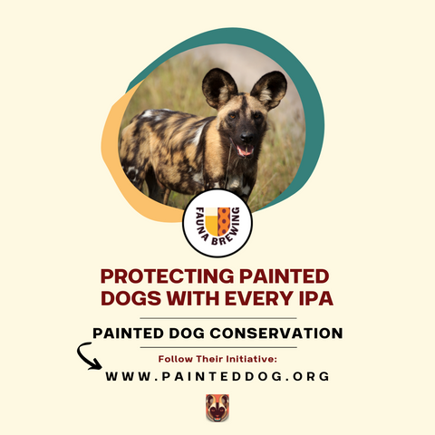 Protecting Painted Dogs With Every IPA