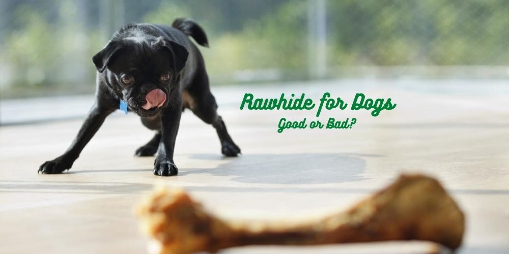can rawhide make dogs vomit