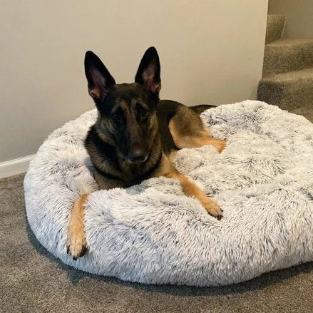 calming dog bed australia