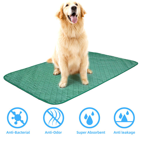 reusable puppy pads