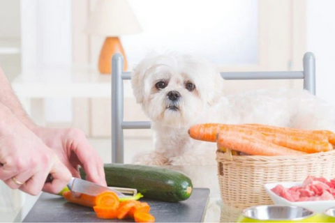 toxic foods for dogs