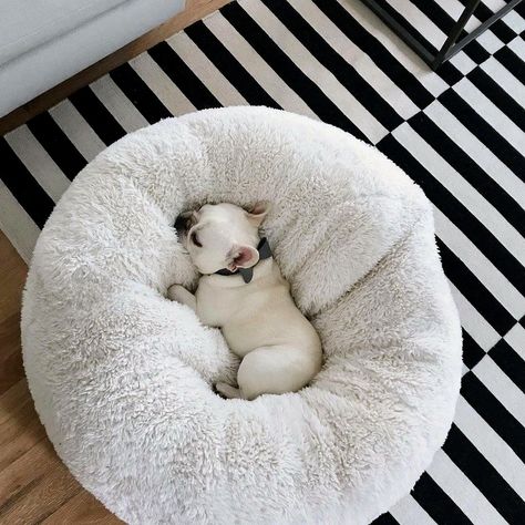 calming dog bed australia