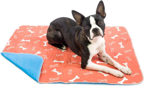 Pee Pads for Small Dogs