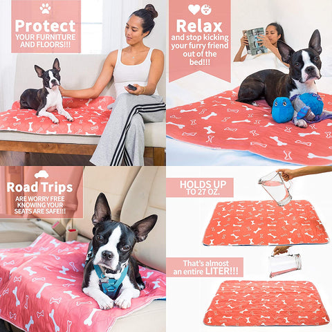 Pee Pads for Small Dogs