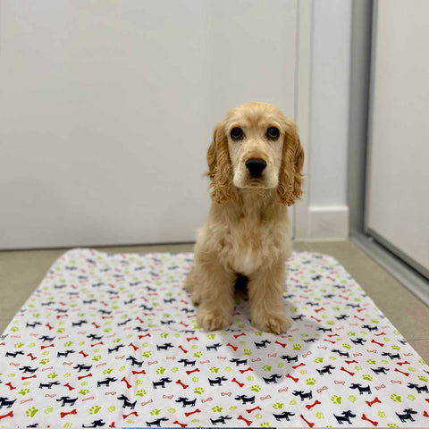 puppy pad australia