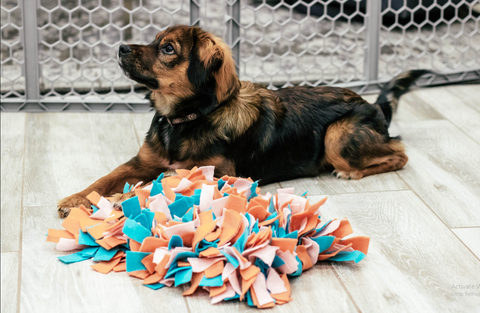 Dog Snuffle Mat