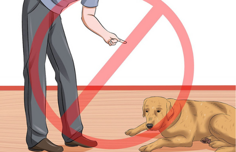 stop dog eating pee pads