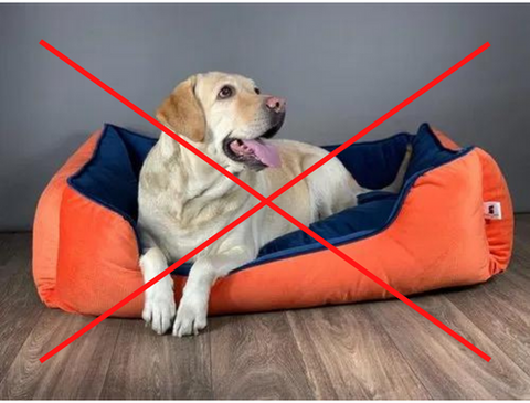 calming dog bed australia