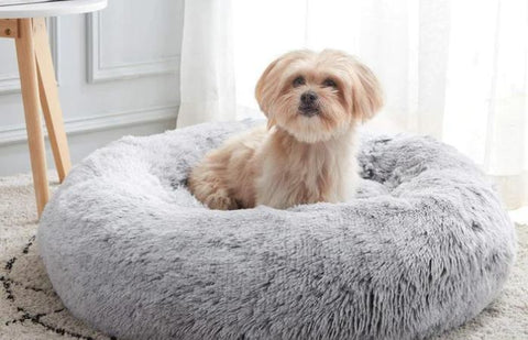 calming dog bed australia