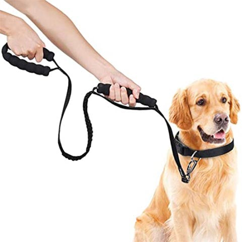 Trainingsleine für Hunde