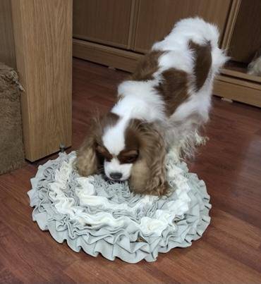 Dog Snuffle Mat