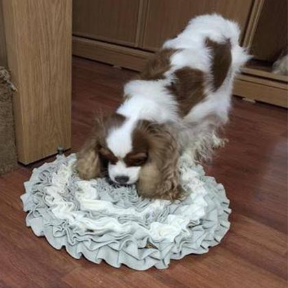 snuffle mat for dogs