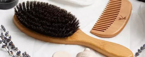 choix-brosse-poils-de-sanglier