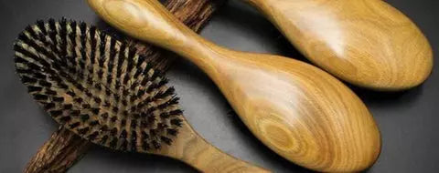 guide-brosse-poils-de-sanglier