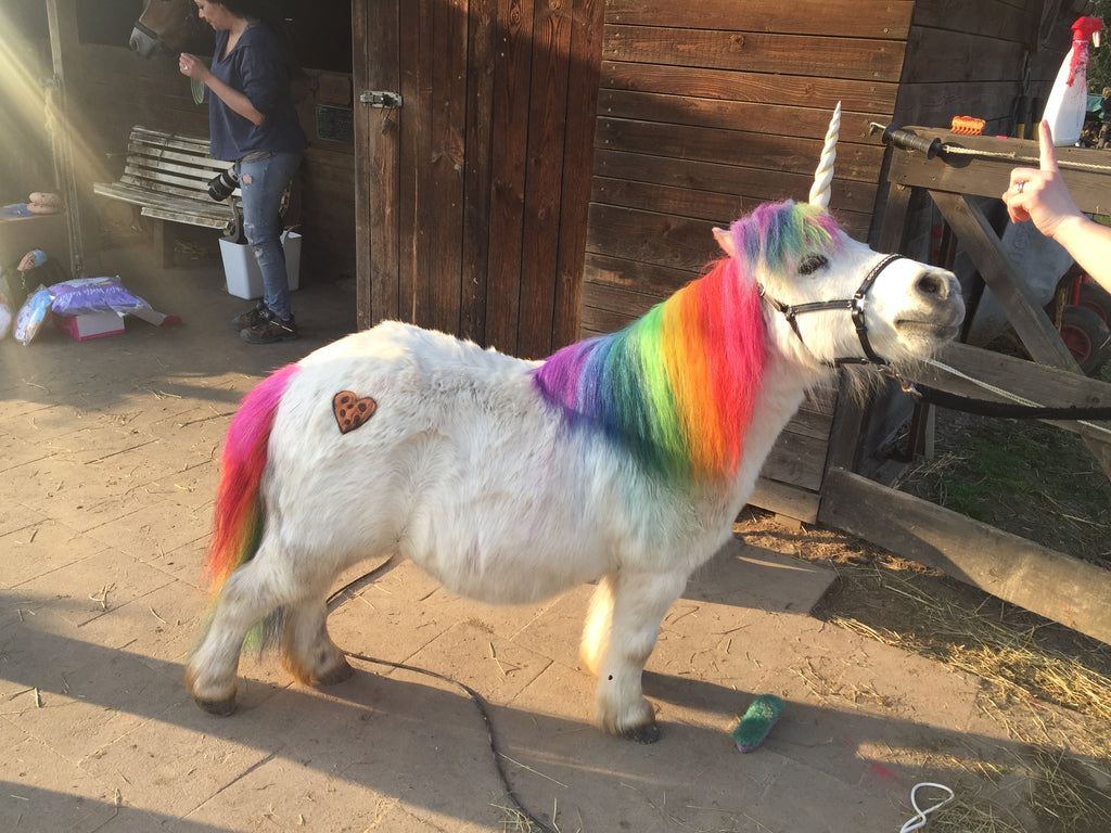 Une vraie licorne