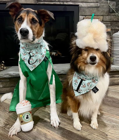 Starbarks Barista