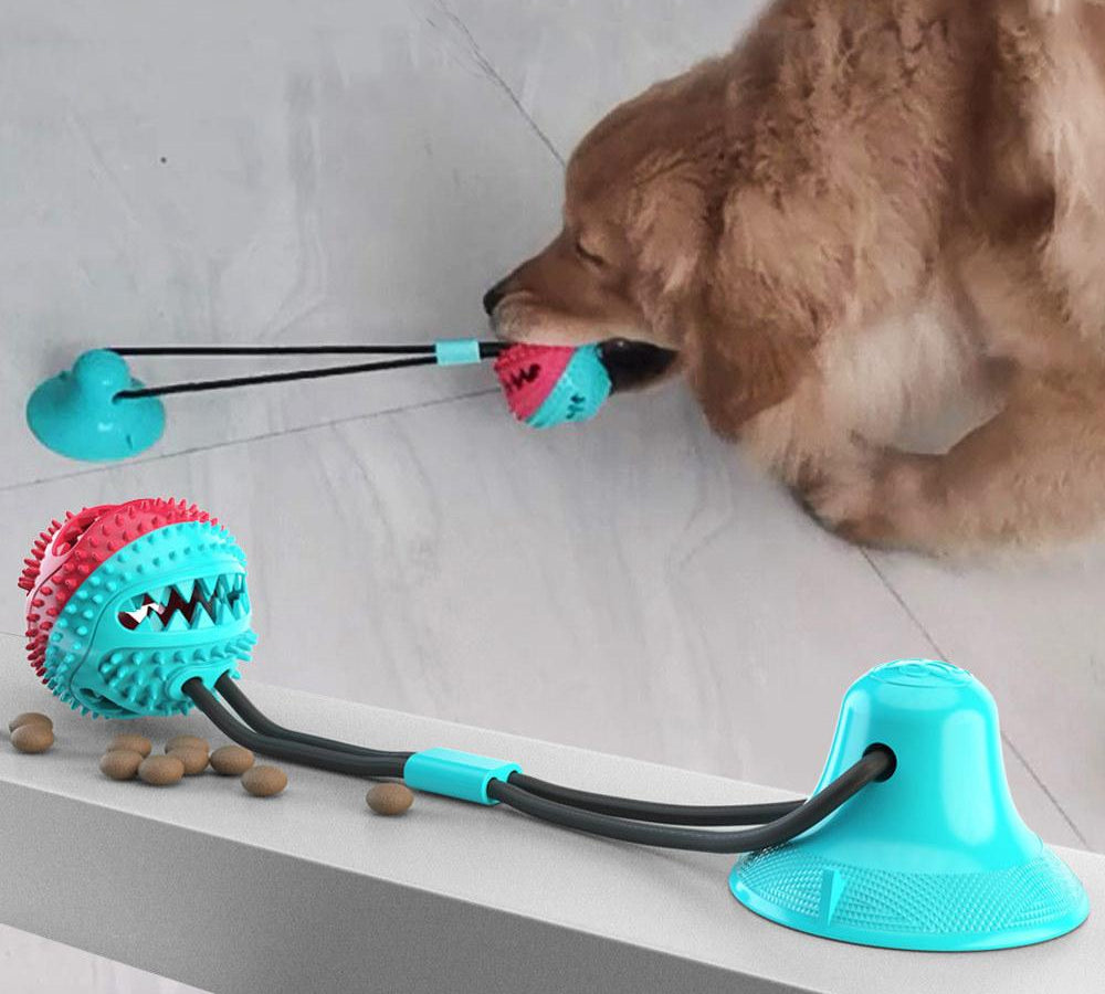 are tug toys good for dogs