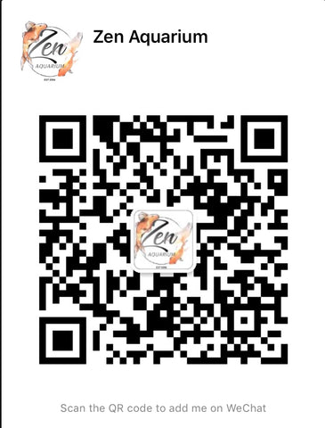 Add us on Wechat: Zenaquariumau or QR code 