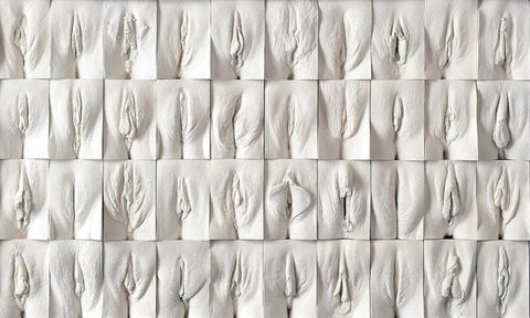 the great wall of vulva by Jamie Mccartney