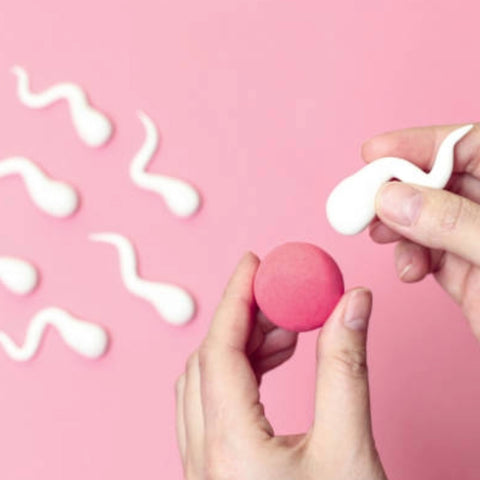 a pair of hands holding a white sperm and a pink egg